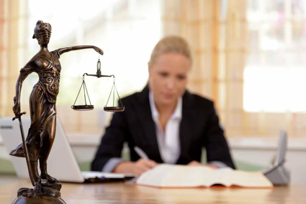 LawPro - Law Firm Divi Child Theme Image 9